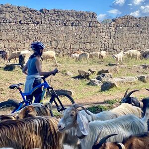 Veranstaltung: Via Appia: Tour in E-Bike fuori dai sentieri battuti + Catacombe + Cibo, Parco Archeologico Appia Antica in Rome