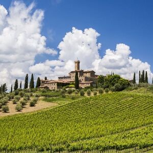 Veranstaltung: Chianti, Montalcino e San Gimignano: degustazione di vini e gita di un giorno da Siena, Day Trips from Siena in Siena