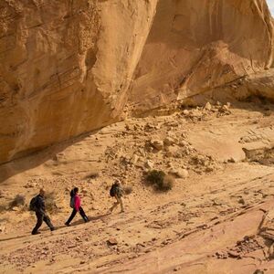 Veranstaltung: Hiking in the Valley of Fire, Valley of Fire Tours in Las Vegas