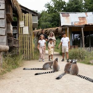 Veranstaltung: ZooParc Overloon: Entry Ticket, ZooParc Overloon in Overloon