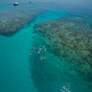 Veranstaltung: Ocean Freedom Great Barrier Reef Tour, Cairns Cruises in Cairns