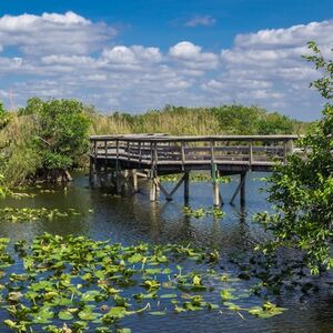 Veranstaltung: Everglades: Self-Guided Driving Tour with Audio Guide, Everglades Safari Park in Miami