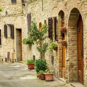 Veranstaltung: Tour dei vigneti e del castello del Chianti con degustazione di vini, Day Trips from Siena in Siena