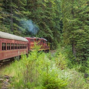 Veranstaltung: Skunk Train: Wolf Tree Turn, Skunk Train: Willits in Willits