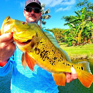 Veranstaltung: Peacock Bass in Florida near Biscayne Bay, 8939 Howard Dr in Miami