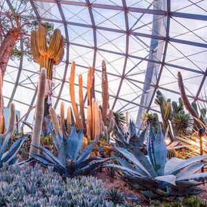 Veranstaltung: Gardens by the Bay: Flower Dome & Supertree Observatory Entry, Gardens by the Bay in Singapore