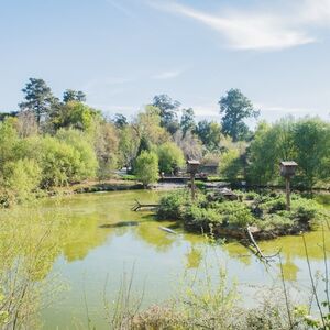 Veranstaltung: Zoo Santo Inácio: sem filas, Zoo Santo Inácio in Avintes