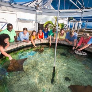 Veranstaltung: Key West Aquarium: Entry Ticket, Key West Aquarium in Key West