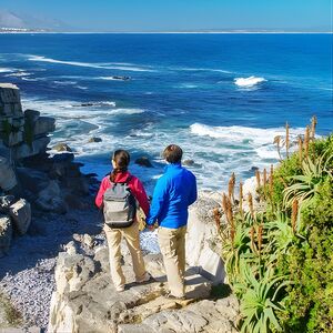 Veranstaltung: From Cape Town: Full Day Guided Hermanus Explorer Tour, Queens Road & Alexander Road in Cape Town