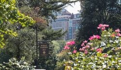Veranstaltung: Boston History and Highlights Walking Tour, Boston City Tours in Boston