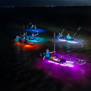 Veranstaltung: Glowing Kayak Tour Corpus Christi - North Padre Island, 13309 S Padre Island Dr in Corpus Christi