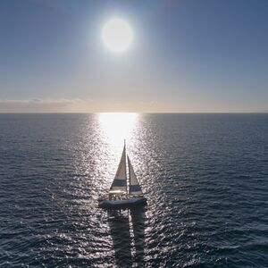 Veranstaltung: Tenerife: Excursión de 3 horas en catamarán ecológico para avistar ballenas y delfines, Tenerife Sailing Tours in Costa Adeje