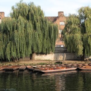 Veranstaltung: Cambridge University Walking Tour, Cambridge City Tours in Cambridge