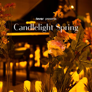 Veranstaltung: Candlelight Spring: Een tribute aan Ludovico Einaudi, Leeuwenbergh in Utrecht