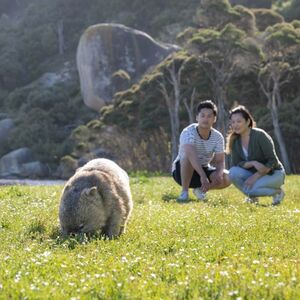 Veranstaltung: Wilsons Promontory National Park: Day Trip from Melbourne, Wilson's Promontory Day Trips from Melbourne in Melbourne