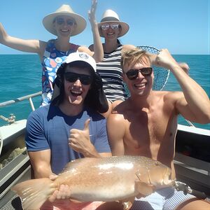 Veranstaltung: Out n About Sportfishing for Share and Private Charters on Reef and Estuary, 5 Ashford Ave in Port Douglas