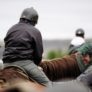 Veranstaltung: Iceland: Horseback Riding - Siggi Tour, Ölfus Outdoor Activities in Ölfus