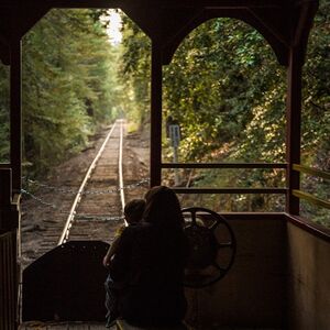 Veranstaltung: Skunk Train: Wolf Tree Turn, Skunk Train: Willits in Willits