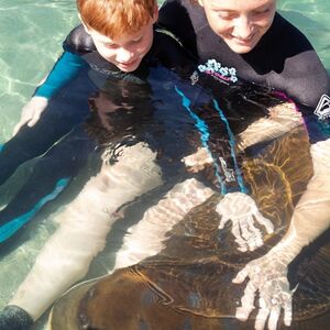 Veranstaltung: Irukandji Shark & Ray Encounters, Irukandji Shark & Ray Encounters in Anna Bay