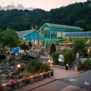 Veranstaltung: Ripley's Aquarium Gatlinburg + 2 or 3 Attractions, Ripley's Aquarium of the Smokies in Gatlinburg