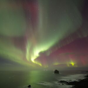 Veranstaltung: Northern Lights: 3-Hr Small Group Bus Tour + Transfer, Northern Lights Tours from Reykjavik in Reykjavík