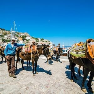 Veranstaltung: Hydra, Poros and Aegina: Full-Day Guided Cruise Tour with Lunch from Athens, Day Trips from Athens in Athens