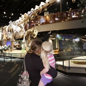 Veranstaltung: Dallas CityPASS®, Perot Museum of Nature and Science in Dallas