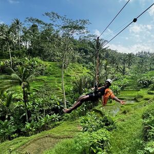 Veranstaltung: Ubud: Guided Rice Terraces Tour + 3 Activities, Tegalalang Rice Terrace in Ubud