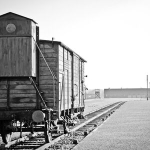 Veranstaltung: Auschwitz-Birkenau: Tour with Hotel Pickup + Lunch Box, Auschwitz Tours from Kraków in Krakow