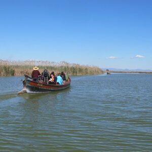 Veranstaltung: Valencia: Autobús Hop-on Hop-off de 48 horas con Línea Albufera + Paseo en Barco, Valencia Hop-on Hop-off Tours in València