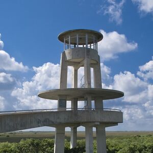 Veranstaltung: Everglades: Self-Guided Driving Tour with Audio Guide, Everglades Safari Park in Miami