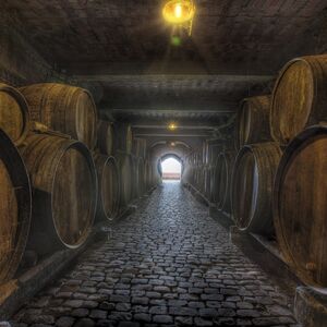 Veranstaltung: Bodegas Monje: Visita a la bodega + Cata de vinos, Tenerife Wine Tasting in Tenerife