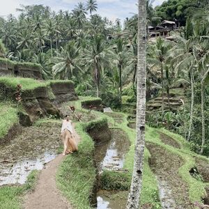 Veranstaltung: Best of Ubud: Monkey Forest, Rice Terraces, Tegenungan Waterfall & Temples, Ubud Palace in Ubud