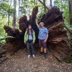 Veranstaltung: Mt. Field, Bonorong Wildlife Sanctuary & Mt. Wellington: Guided Tour, Mt. Field National Park in Hobart