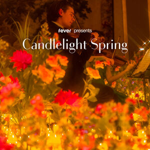 Veranstaltung: Candlelight Spring : Hommage à Adele, Hôtel Carlton Lille in Lille