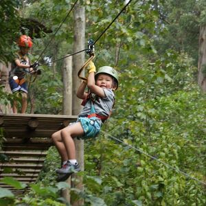 Veranstaltung: Treetops Adventure: Nowra Park, Trees Adventure - Nowra Shoalhaven Park in North Nowra