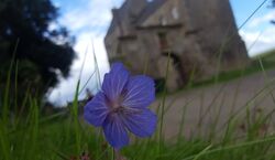 Event: From Glasgow: Outlander Day Tour, in Glasgow