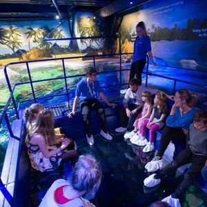 Veranstaltung: SEA LIFE Brighton: Standard Ticket, SEA LIFE Brighton in Brighton