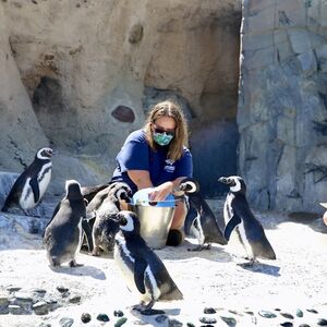 Veranstaltung: Aquarium of the Pacific: Membership Voucher, Aquarium of the Pacific in Los Angeles