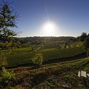 Veranstaltung: Château La Croizille : visite guidée + dégustation de vin, Château La Croizille in Saint-Laurent-des-Combes