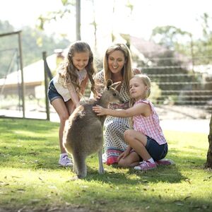 Veranstaltung: Paradise Country: Authentic Aussie Farm Experience, Paradise Country in Oxenford