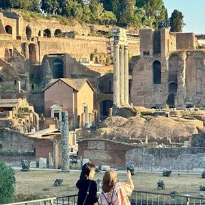 Veranstaltung: Colosseum, Roman Forum & Palatine Hill: Guided Tour, Colosseum in Rome