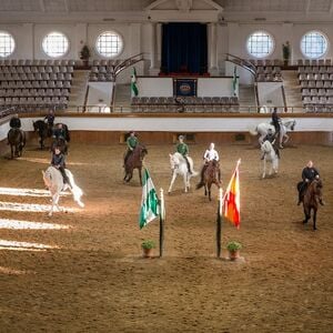 Veranstaltung: Real escuela andaluza del arte ecuestre: Visita completa, Fundación Real Escuela Andaluza de Arte Ecuestre in Jerez De La Frontera - Cadiz