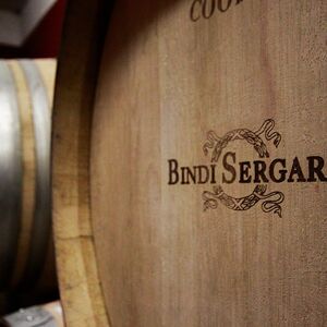 Veranstaltung: Siena: Degustazione di vino, olio e cibo Mocenni Premium presso un vigneto toscano, Tenuta Mocenni: Bindi Sergardi in Vagliagli