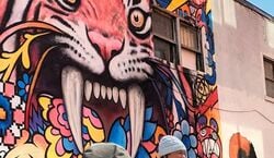Event: Montréal: All About Murals Walking Tour, Montreal City Tours in Montreal