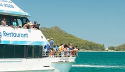 Veranstaltung: Port Stephens: Day Tour from Sydney + Dolphin Watching Cruise, Day Trips from Sydney in Sydney