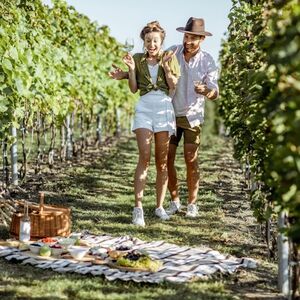 Veranstaltung: Vigneto di Montelpulciano: Degustazione di vini e picnic, Siena Wine Tasting in Siena