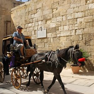 Veranstaltung: Half Day Shared Tour in Malta, Valletta Cruise Port in Malta