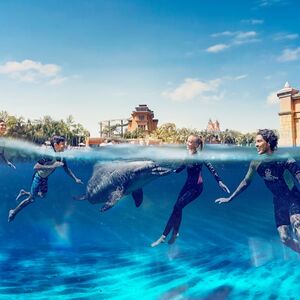 Veranstaltung: Aquaventure: Entry Ticket + Atlas Village Dolphin Swim, Atlas Village - Dolphin & Sea Lion Experiences in Dubai