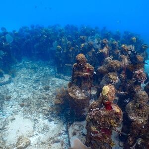 Veranstaltung: Museo Subacuático de Arte de Cancún y Arrecife de Coral Manchones: Excursión de snorkel, Cancún Water Sports in Cancún